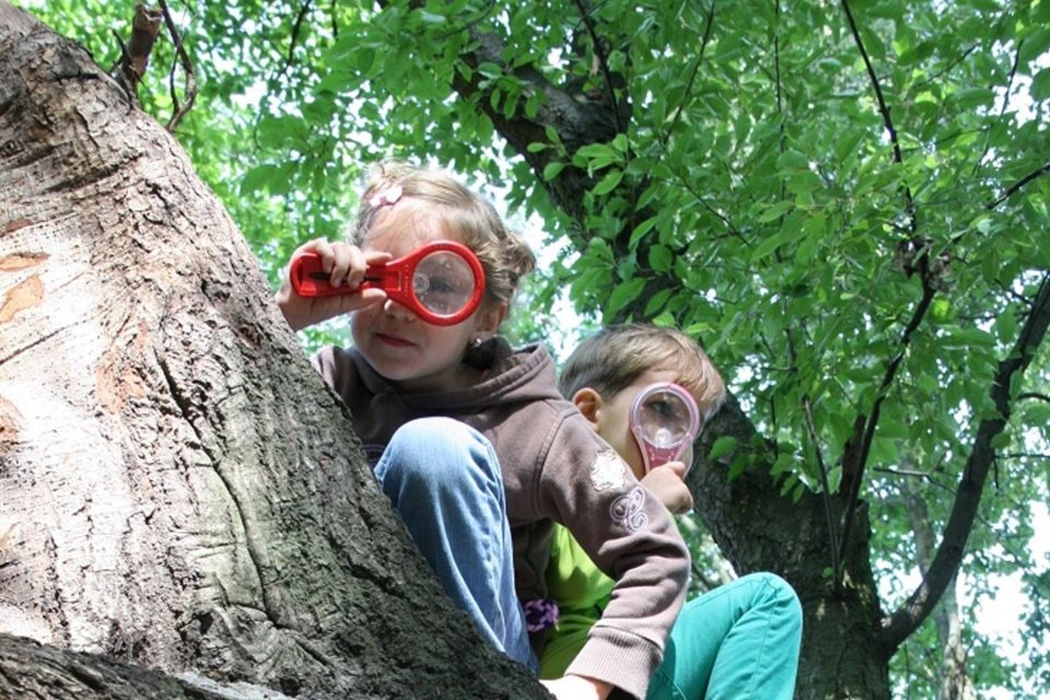 Kleine Entdecker, Foto: BARNIM PANORAMA/Detel